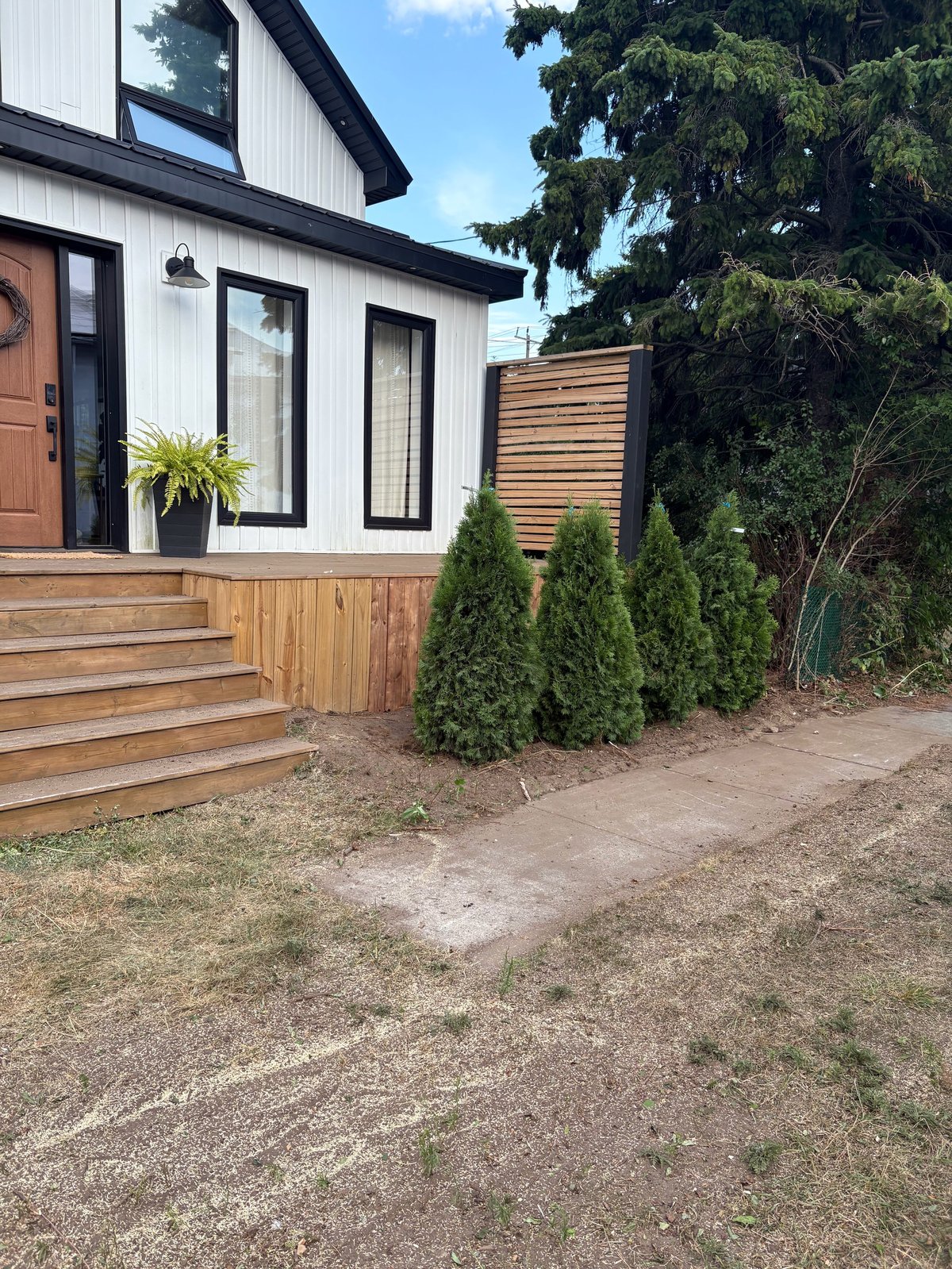 Modern white and black farmhouse with wooden deck, featuring manicured evergreen shrubs and landscaped front yard