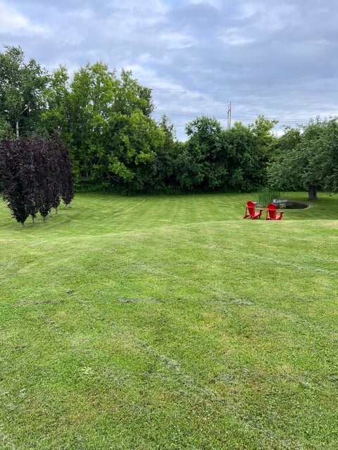 Large grassy lawn with red Adirondack chairs and trees in background under cloudy sky