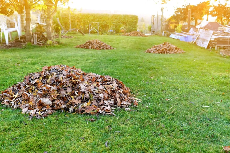 Piles of dried leaves and garden waste scattered across a green lawn in afternoon sunlight with trees in background