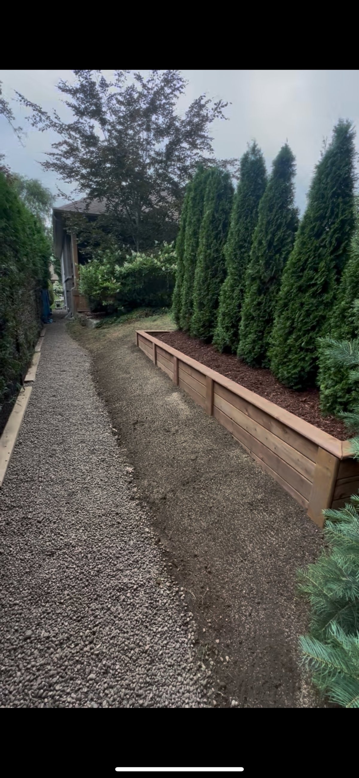Gravel pathway lined with tall cypress trees and wooden raised planters, leading to a pergola structure