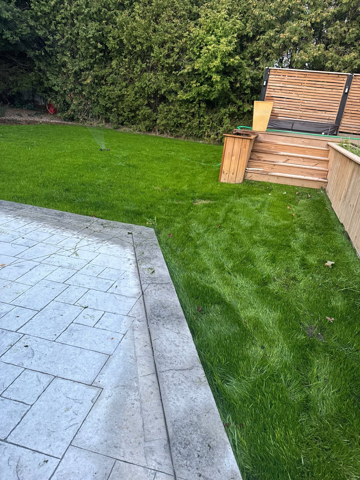 Modern outdoor space after renovation