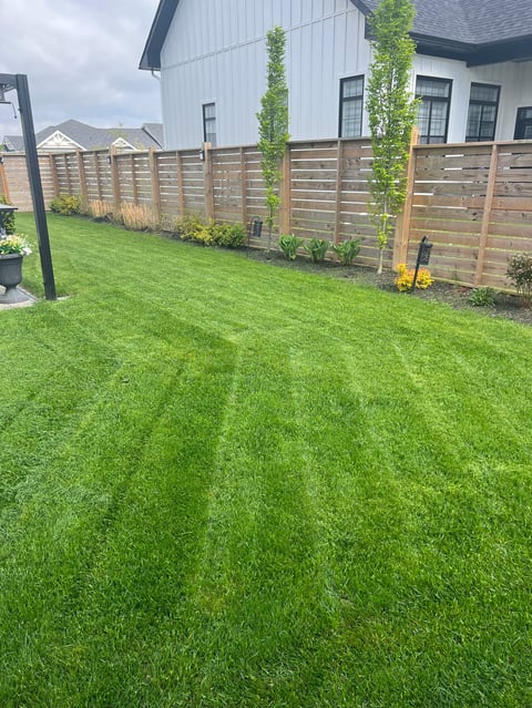 Backyard with manicured green lawn, wooden horizontal fence, climbing vines, and modern white house with gray roof